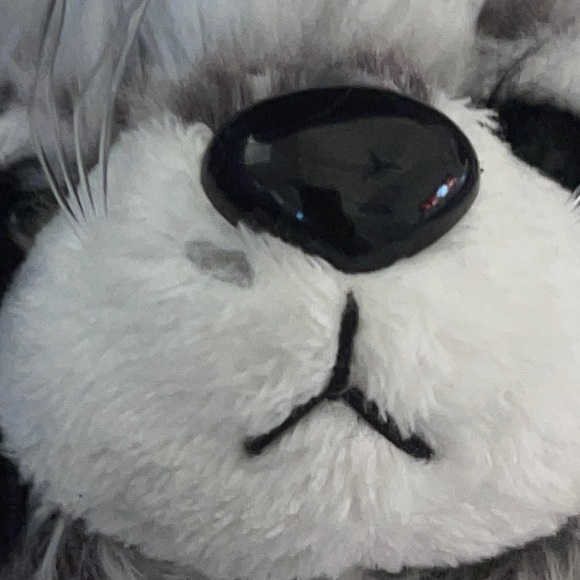 WEBKINZ Ganz RACCOON RETIRED HM143 w/hang &but Tag No Code plush stuffed animal - Picture 14 of 16